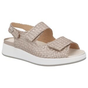 SOLIDUS hannah flecht CHAMPAGNE H