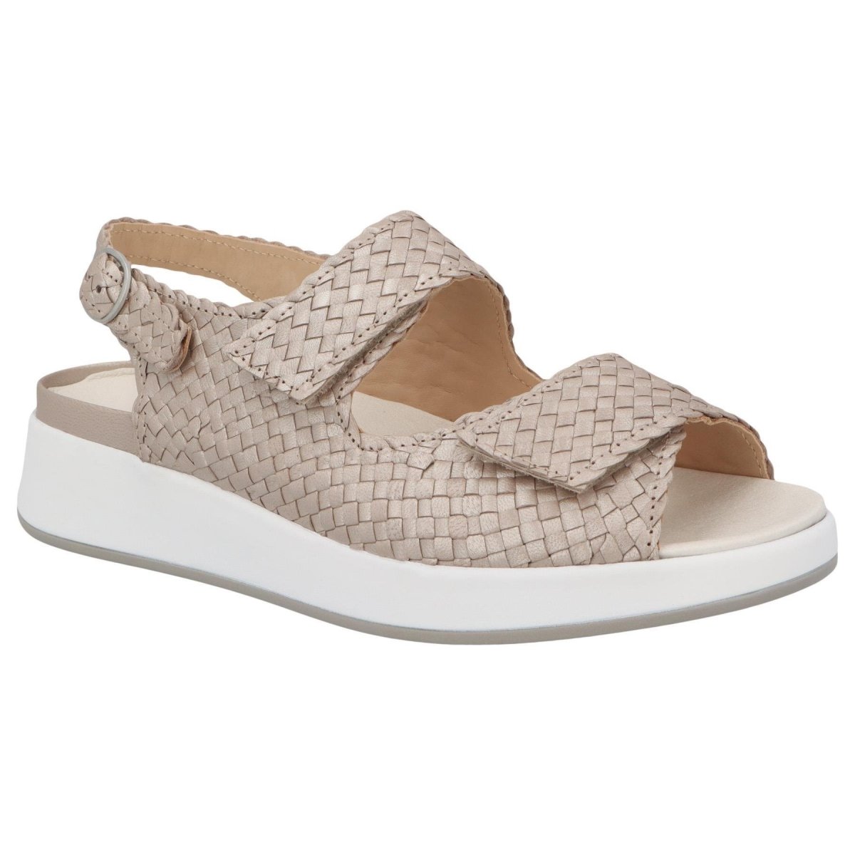 SOLIDUS hannah flecht CHAMPAGNE H