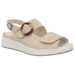 SOLIDUS hannah CHAMPAGNE H