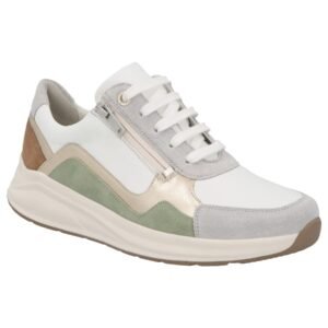 SOLIDUS kitty LINO MULTI H-K