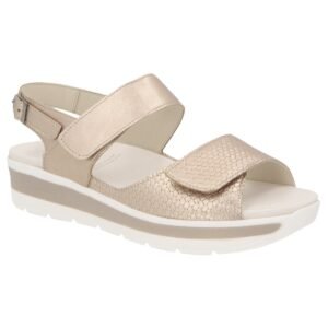 SOLIDUS greta CHAMPAGNE G