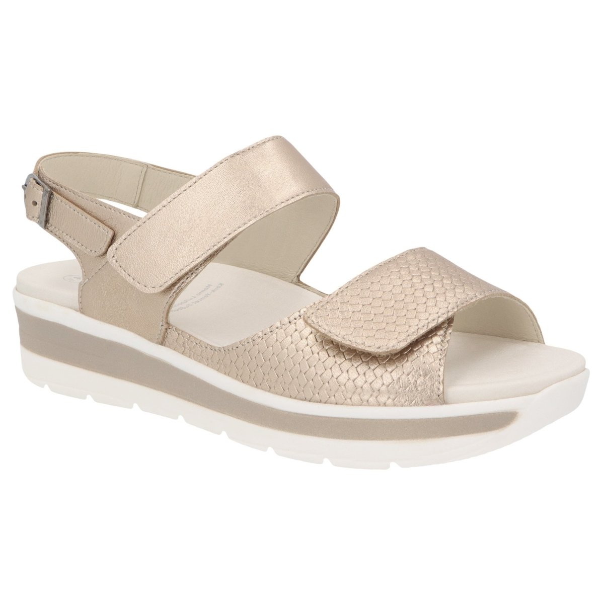 SOLIDUS greta CHAMPAGNE G