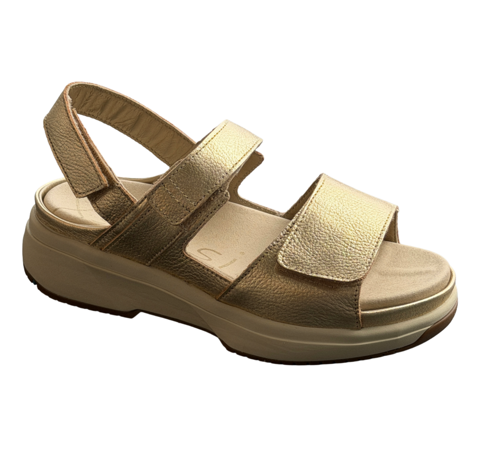 XSENSIBLE aruba GOLD G-H